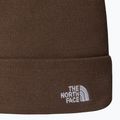Žieminė kepurė The North Face Norm Beanie smokey brown 2