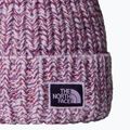 Vyriška žieminė kepurė The North Face Cozy Chunky Cabin lite lilac/peak purple 2