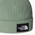 Vaikiška žieminė kepurė The North Face Salty Lined 2