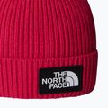 Vaikiška žieminė kepurė The North Face Logo Box Cuffed 2