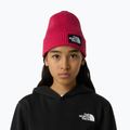 Vaikiška žieminė kepurė The North Face Logo Box Cuffed 3