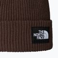 Žieminė kepurė The North Face Salty Lined 2