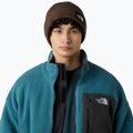 Žieminė kepurė The North Face Salty Lined 4