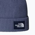 Žieminė kepurė The North Face Salty Lined 2