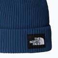 Žieminė kepurė The North Face Salty Lined 2