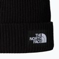 Žieminė kepurė The North Face Salty Lined 2