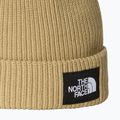 Žieminė kepurė The North Face Salty Lined 2
