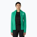 Moteriškas džemperis The North Face Summit Futurefleece FZ nebula green 4