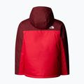 Vaikiška slidinėjimo striukė The North Face Freedom Insulated sumac/ red 6