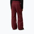 Vaikiškos slidinėjimo kelnės The North Face Freedom Insulated sumac 3