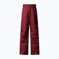 Vaikiškos slidinėjimo kelnės The North Face Freedom Insulated sumac 4