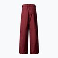 Vaikiškos slidinėjimo kelnės The North Face Freedom Insulated sumac 5