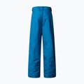 Vaikiškos slidinėjimo kelnės The North Face Freedom Insulated dusk blue 5