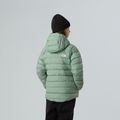 Vaikiška pūsta striukė The North Face Reversible Perrito Hooded slate moss 3