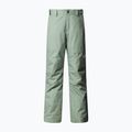 Vaikiškos slidinėjimo kelnės The North Face Freedom Insulated slate moss 4