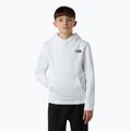 Vaikiškas džemperis The North Face Teen Redbox Regular P/O white/black 4