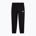 Vyriškos kelnės The North Face Performance Fleece Jogger tnf black 4