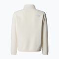 Vaikiškas fliso džemperis The North Face Teen Glacier 1/4 Zip wine dune 2