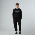 Vaikiškas džemperis The North Face Reflective Logo Relaxed Crew black 2