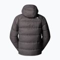Vyriška pūsta striukė The North Face Hydrenalite Down Hoodie smoked pearl 2