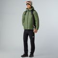 Vyriška striukė The North Face Terra Peak Hoodie bark mist 2