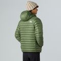 Vyriška striukė The North Face Terra Peak Hoodie bark mist 3