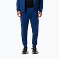 Vyriškos kelnės The North Face Mountain Athletics Fleece estate blue/summit navy