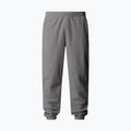 Vyriškos kelnės The North Face Glacier Fleece mid grey heather 5