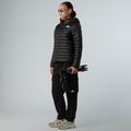 Moteriška pūsta striukė The North Face Terra Peak Hoodie black 2