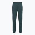 Moteriškos kelnės The North Face Mountain Athletics Fleece deep cypress/space