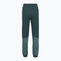 Moteriškos kelnės The North Face Mountain Athletics Fleece deep cypress/space 2