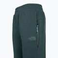 Moteriškos kelnės The North Face Mountain Athletics Fleece deep cypress/space 3