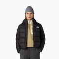 Moteriška pūsta striukė The North Face Hyalite Down Hoodie black 4