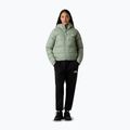 Moteriška pūsta striukė The North Face Hyalite Down Hoodie state moss 2