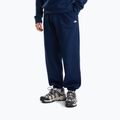 Vyriškas džemperis The North Face Evolution Simple Dome Regular Hoodie summit navy