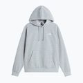 Moteriškas džemperis The North Face Evolution Simple Dome Regular Hoodie tnf pale grey heather 4