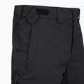 Vyriškos slidinėjimo kelnės The North Face Chakal Regular black/black 3