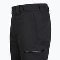 Vyriškos slidinėjimo kelnės The North Face Chakal Regular black/black 4