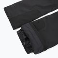 Vyriškos slidinėjimo kelnės The North Face Chakal Regular black/black 6