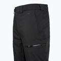 Vyriškos slidinėjimo kelnės The North Face Chakal black/black 4