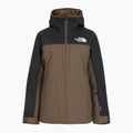 Moteriška slidinėjimo striukė The North Face Namak Insulated black/smokey brown 4