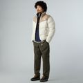 Vyriška striukė The North Face Saikuru mushroom grey/white dun 2