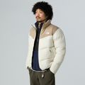Vyriška striukė The North Face Saikuru mushroom grey/white dun 4
