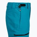 Vyriškos slidinėjimo kelnės The North Face Chakal Regular dusk blue 3