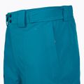 Vyriškos slidinėjimo kelnės The North Face Chakal Regular dusk blue 4
