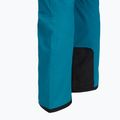 Vyriškos slidinėjimo kelnės The North Face Chakal Regular dusk blue 5