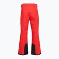 Vyriškos slidinėjimo kelnės The North Face Chakal Regular elevation red 2
