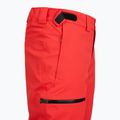 Vyriškos slidinėjimo kelnės The North Face Chakal Regular elevation red 3