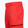 Vyriškos slidinėjimo kelnės The North Face Chakal Regular elevation red 4