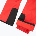 Vyriškos slidinėjimo kelnės The North Face Chakal Regular elevation red 5